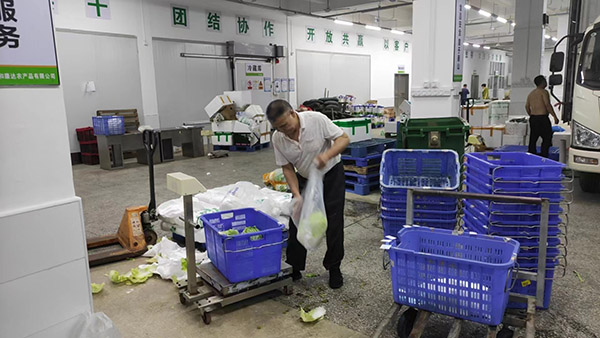 碳中和經濟 碳中和經濟