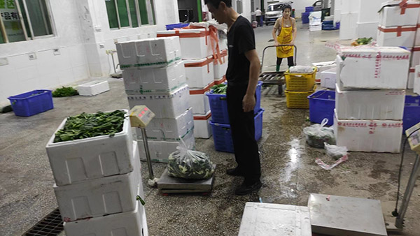 追尋減碳足跡 追尋減碳足跡